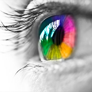 Same Day Cutout Decals